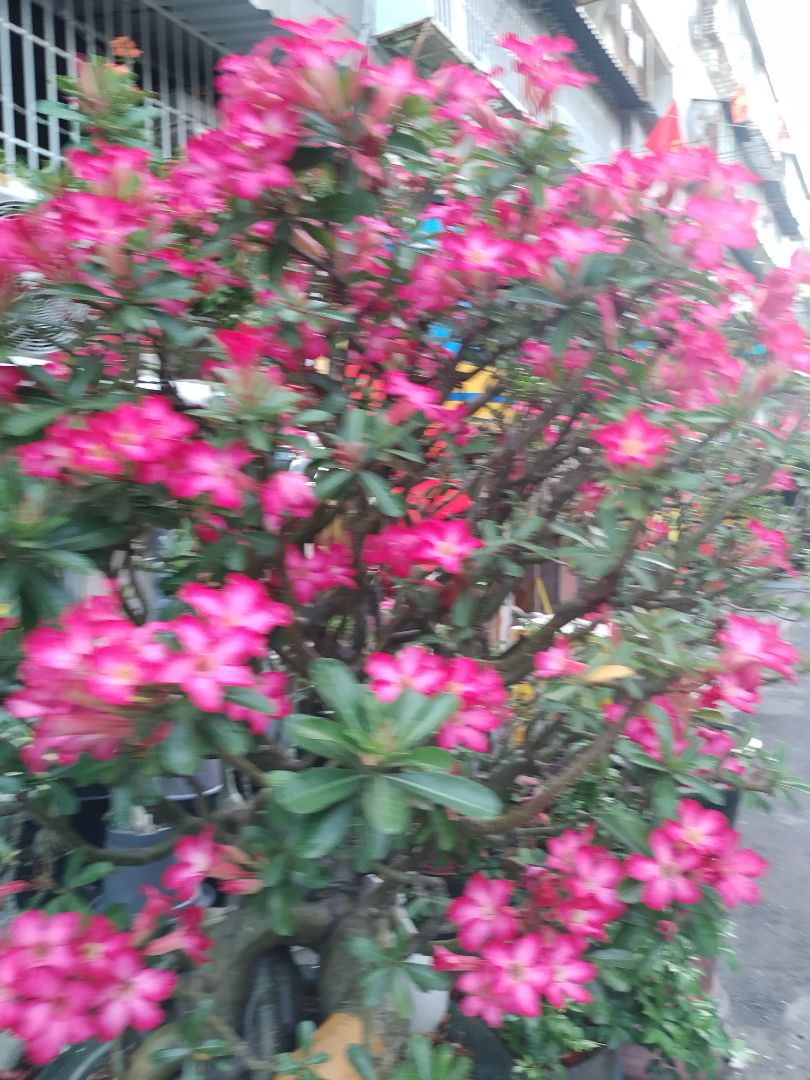 xài lâu mới biết có bền không