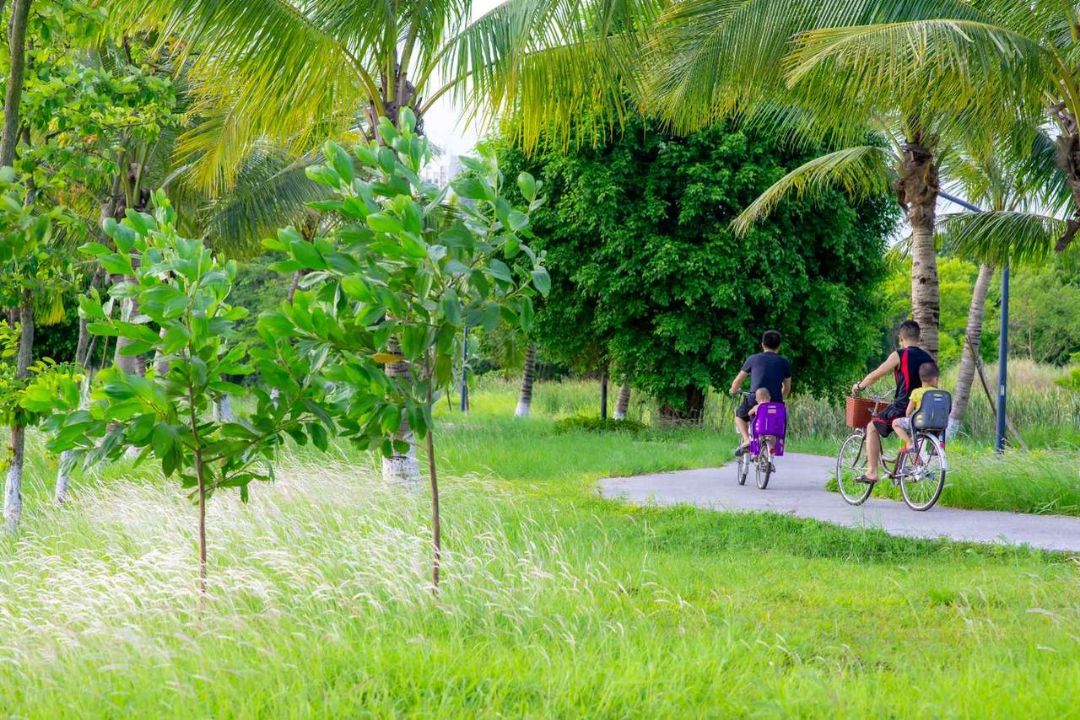 chưa được đùng ,vì ny đi cách ly .tiện đây bác nào muốn mua nhà ,thuê nhà Ecopark cách hồ Gươm 14km thì để *** dưới em tư vấn 😔