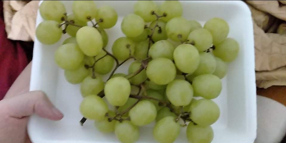 không load đc ảbh nên mình dùng tạm ảnh. dùng mượt, thích, chỉ cần 1 xíu là tạo bọt nhiều rồi, mùi thoang thoảng dịu nhẹ