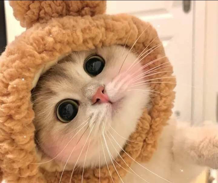 Sách in rõ ràng, dễ hiểu, dễ học!