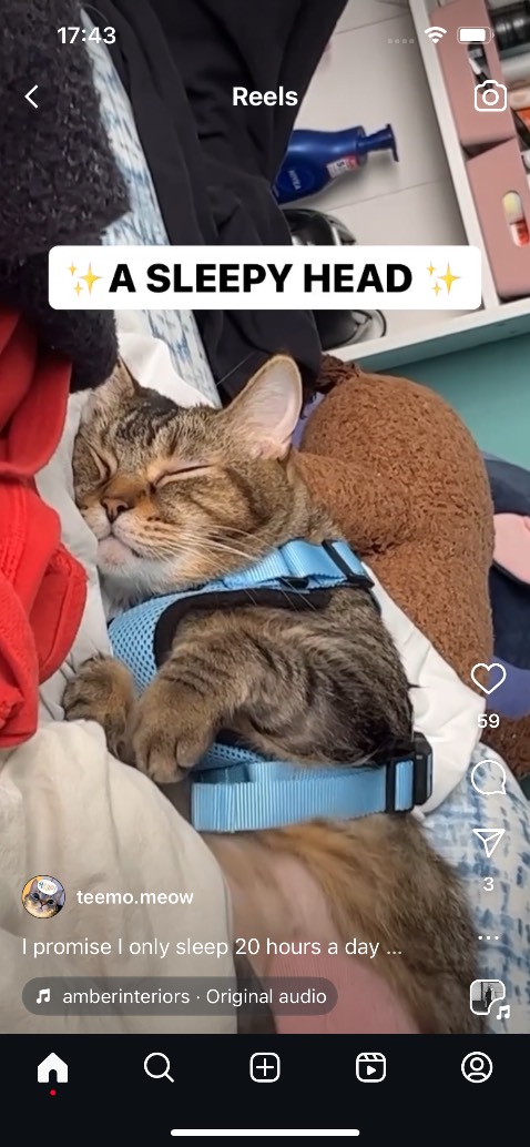 Tốt, quay nhẹ, sạch nước mà ko nát rau. Cảm ơn shop