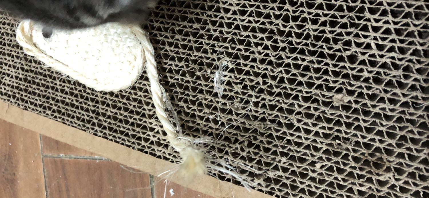 Sản phẩm cực kì tệ! Nó chỉ là giấy bìa cứng cuộn lại thôi, dán keo lèo tèo! Mèo cào phát rách luôn! Rách bay vụn giấy ra khắp nhà!