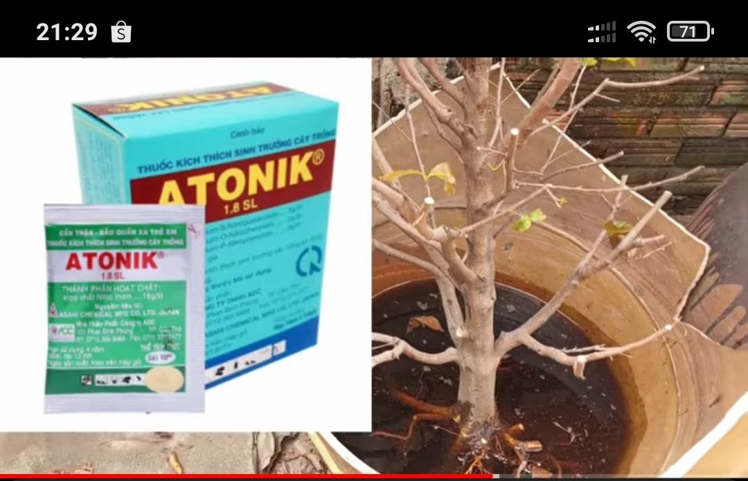 màu sắc đẹp. mới xem qua, đánh giá sau nhé