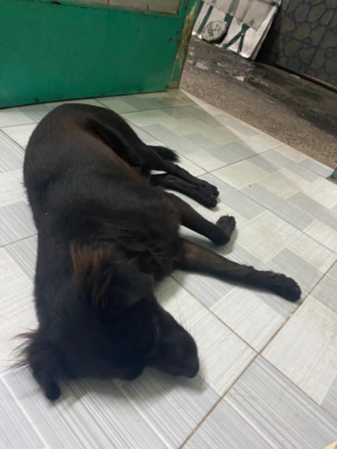 Hình ảnh mang tính minh họa