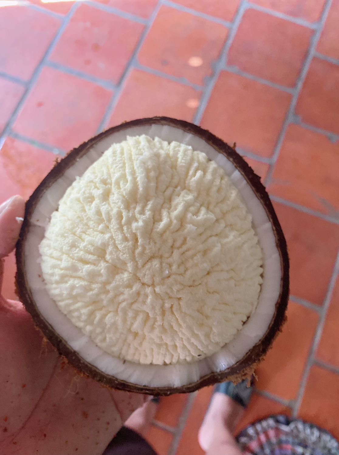 Ban đầu định đáng giá 1 sao vì giao chậm đơn hàng. Đến ngày giao còn chưa xử lí đơn hàng. 
Nhưng vì sao khi nhắn tin cho bên tiki thì ngay sáng hôm sau nhận được hàng nên bỏ qua. Vẫn đánh giá 5*.