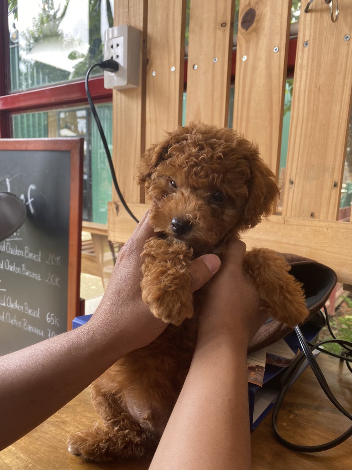 Hohihihihohohohi hàng ok nha