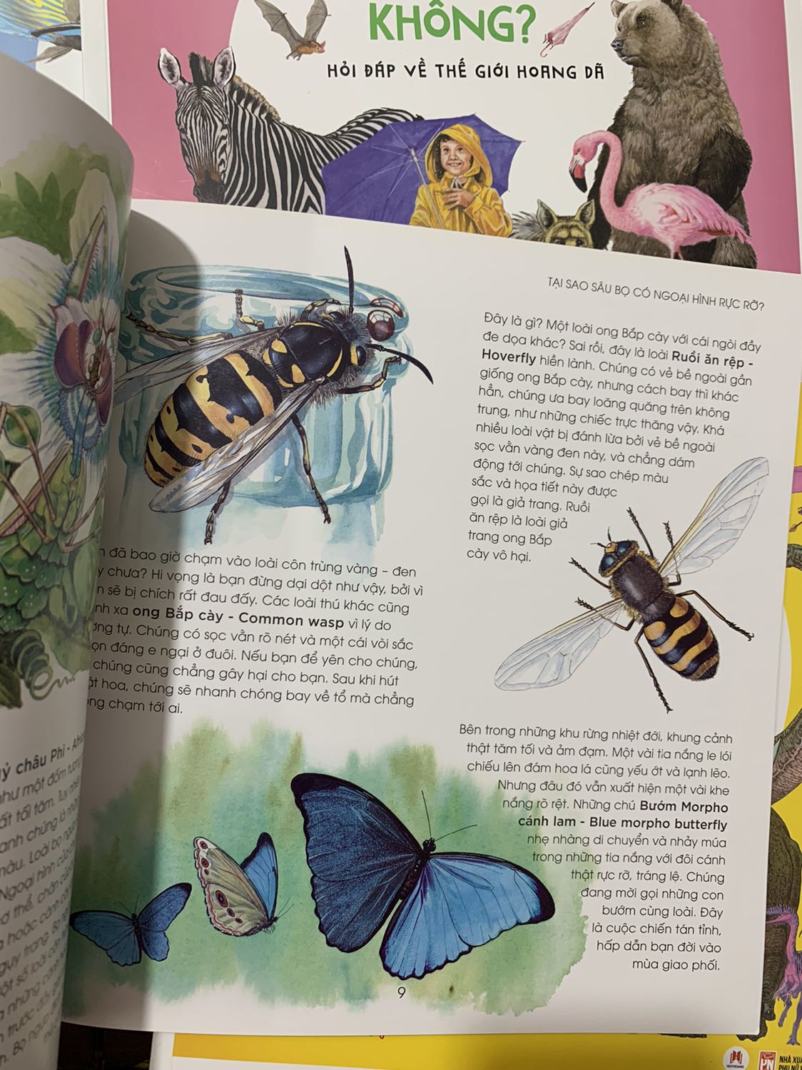 Sách rất ok nội dung hay giao hàng nhanh mình ưng y ne nen sẽ mua tiếp