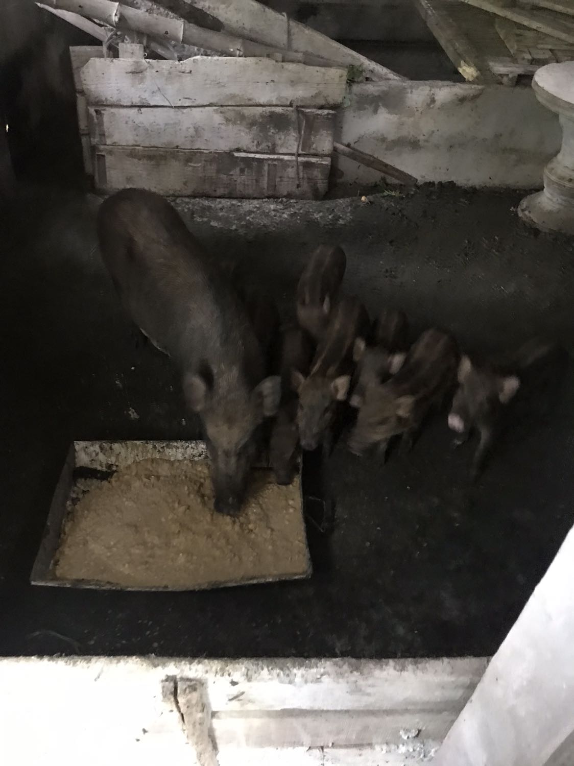 Hàng sử đụng rất tốt nên mua