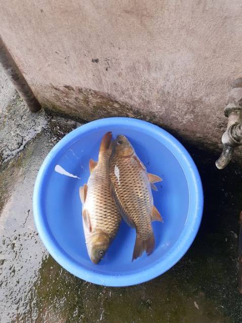 giao hàng hơi lâu ạ chắc phải hơn 1 tuần mới nhận duoc ấy hàng ổn ạ