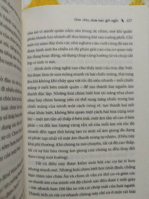 Nội dung thú vị và hài hước, mở ra một thế giới về loài chim thật sự kì diệu, một loài tưởng như không liên quan tới con người trong quá trình tiến hoá nhưng lại có rất nhiều thứ giống nhau!