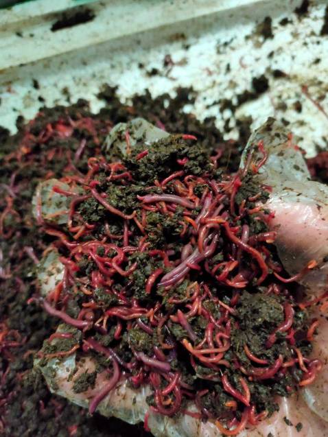 Giao nhanh đẹp giống hình đóng gói chưa cẩn thận lắm d gm mà và g hh