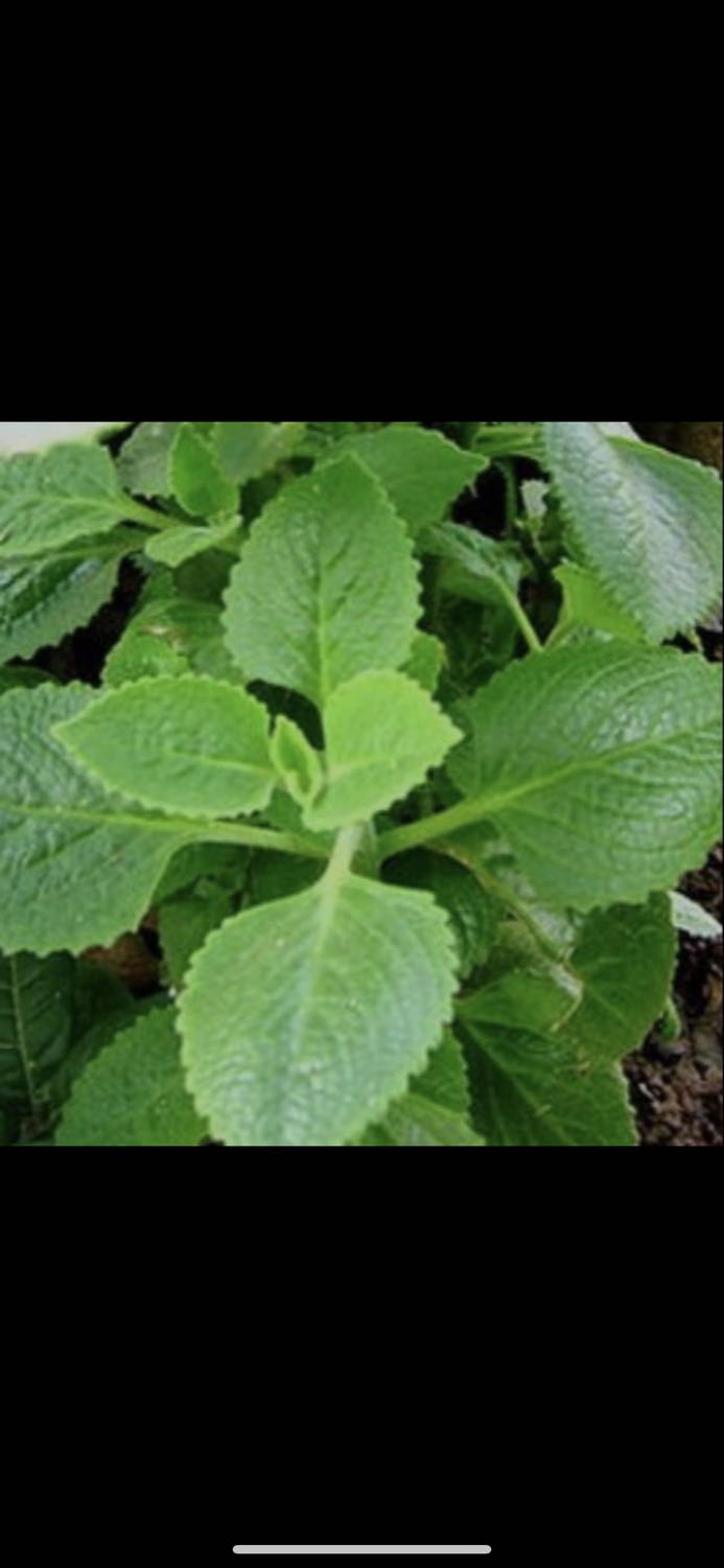 hinhf ảnh không liên quan . Đóng gói sản phẩm đẹp và chắc chắn, mình mới bóc sản phẩm ra xem thử chưa nấu nhưng nhìn chung hạt gạo đều nhau k bị vỡ nát như một số loại mình đã từng ăn, hi vọng sẽ ngon và ủng hộ shop tiếp a hinhf ảnh không liên quan . Đóng gói sản phẩm đẹp và chắc chắn, mình mới bóc sản phẩm ra xem thử chưa nấu nhưng nhìn chung hạt gạo đều nhau k bị vỡ nát như một số loại mình đã từng ăn, hi vọng sẽ ngon và ủng hộ shop tiếp a