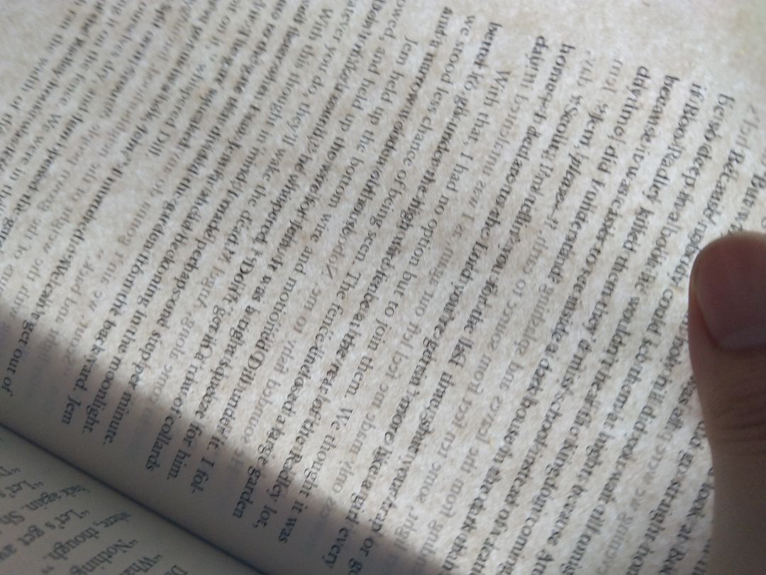 Nội dung: mình mới đọc vài trang thôi nên chưa đánh giá được, nhưng nhìn chung sách khá khó đọc do được viết từ thế kỷ trước, cứ mỗi trang lại có vài từ lạ. 
Hình thức: chất lượng khá tệ, không đáng giá tiền.