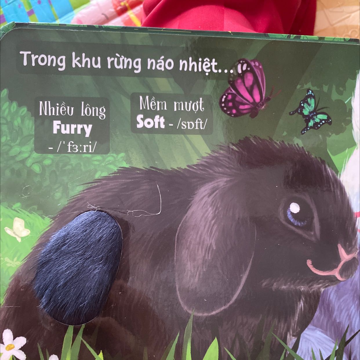 Sách đẹp lắm, được review nhiều dành cho các con phát triển xúc giác