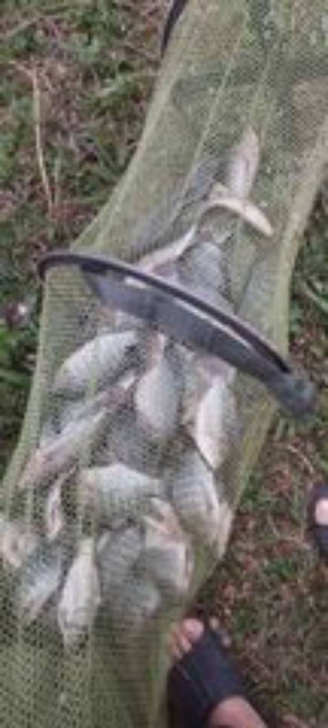 đẹp và hàng tốt chất lượng cao nên mua