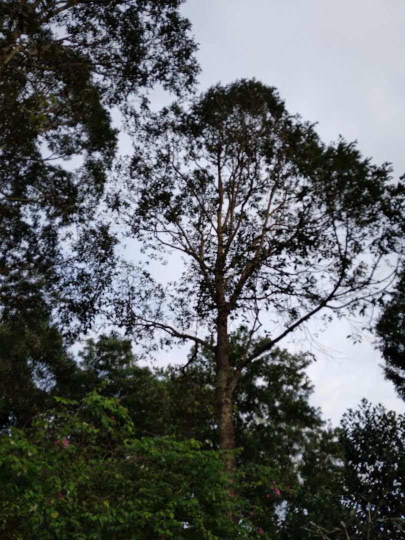 sp tốt. bé rất thích sp tốt. bé rất thích