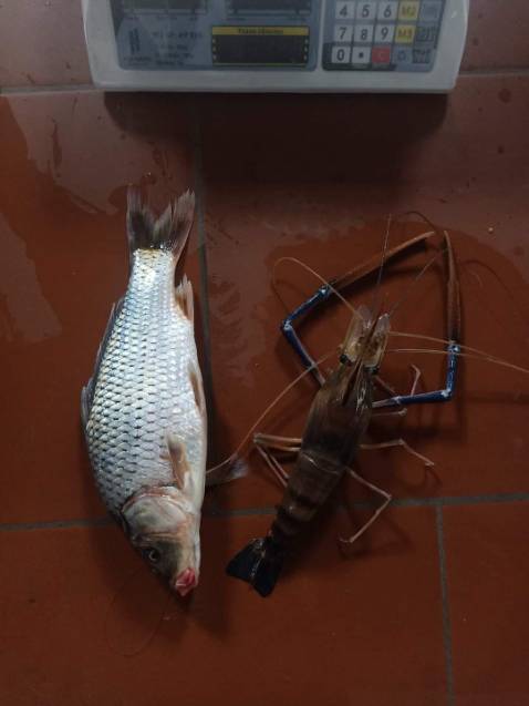 Đẹp xịn rẻ mn nên mua đi nkaaaaaaaaaaaaaaaaaaaaaaaaaaaaaaaa