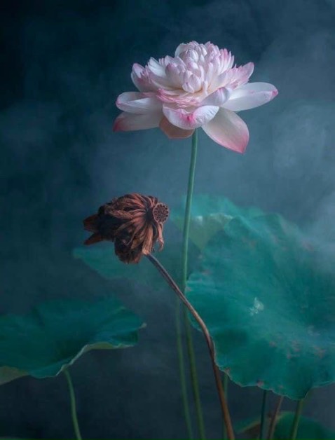 Mùi dễ chịu , xịt xong chờ xíu lau lại sạch coong nhé !!