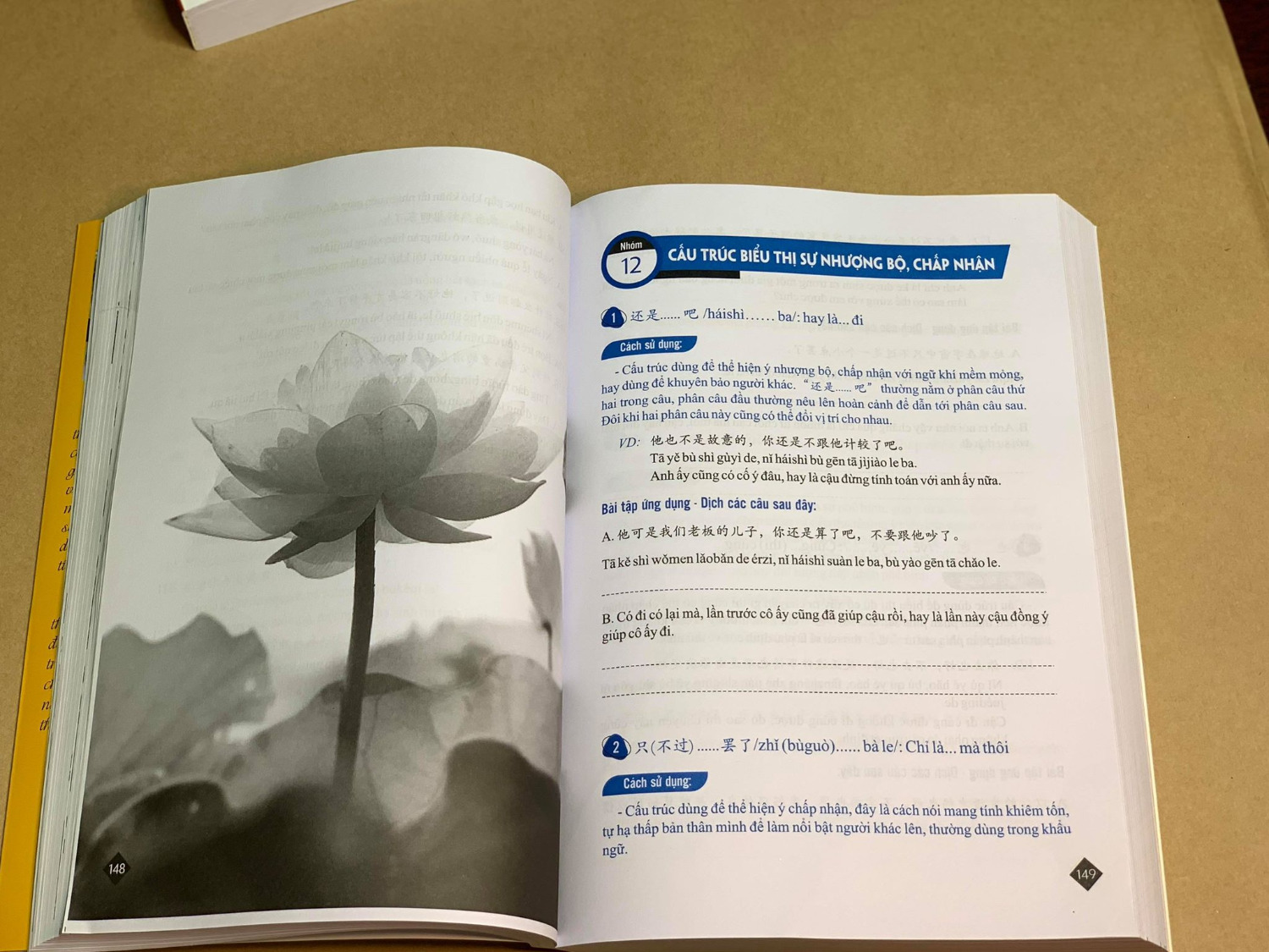 Đây là cuốn sách về các cấu trúc tiếng Trung hay nhất từ trước tới giờ mà tôi biết. Sách dễ hiểu, tính ứng dụng thực tế cao và đặc biệt là đầy đủ phiên âm. 
Tôi thấy bạn nào mà muốn học tiếng Trung thì nên mua cuốn sách này về ngay