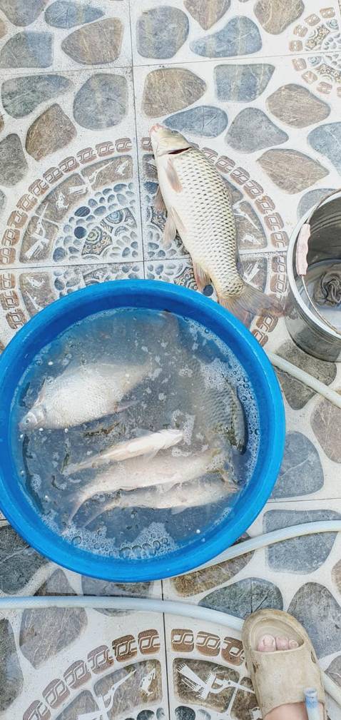 Hàng chất lượng, đóng gói đẹp