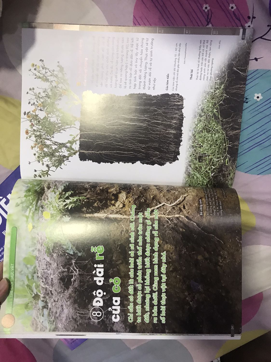 Sách bìa cứng, hình ảnh minh hoạ nhiều.  Mình thấy cũng đẹp, nhưng nội dung bố cục hơi nhiều quá, có thể bé sẽ lười đọc.  Giao đủ & siêu nhanh. Mới đặt hôm nay là ngày mai giao tới liền.