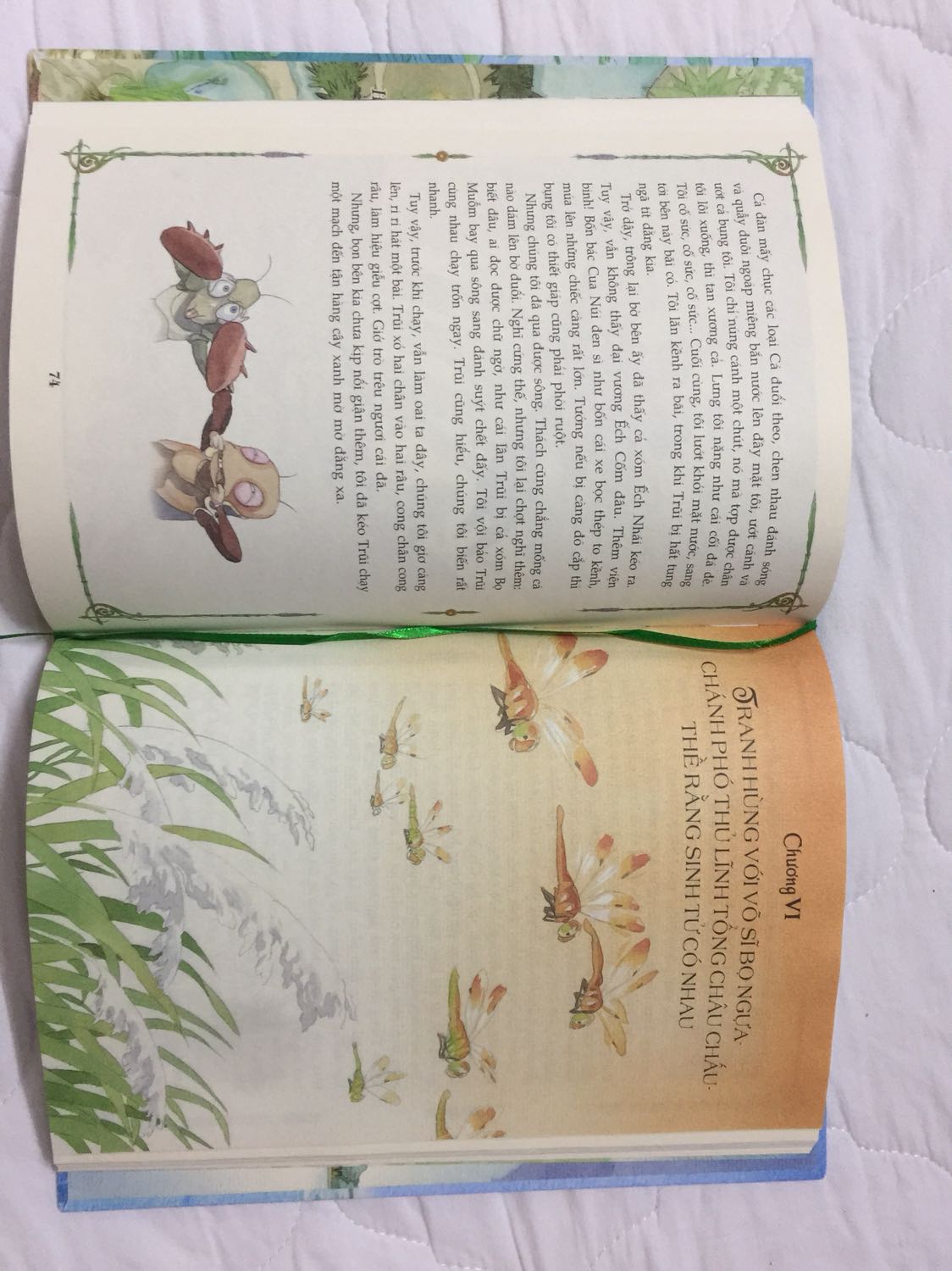 Review image