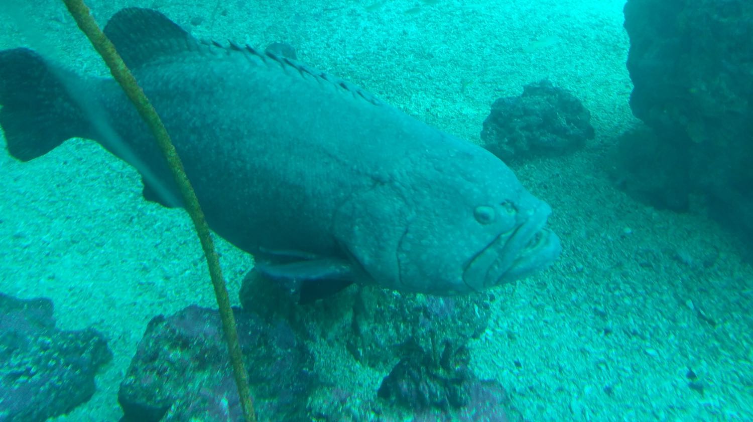 Nước ra có bơm mà vẫn yếu. 
Làm nóng khá chậm. 
Đẹp.