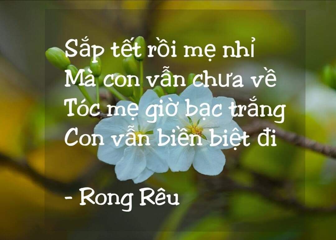 hình ko lung linh được như trên ảnh
giao nhanh
ảnh minh họa