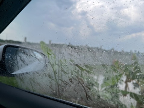 Nước mưa vẫn dính đầy. Chai này mình mua xài thử, bôi đi bôi lại mấy lớp, để khô hẳn rồi mới lau mà vẫn ko hiệu quả, chống dính đc chắc 10%.  
Chai Drain off Karshine màu vàng là loại mình hay xài chống dính được tới 80%. Khuyên bạn ko nên mua. Mua chai Karshine 90k một chai mà hiệu quả hơn nhiều.