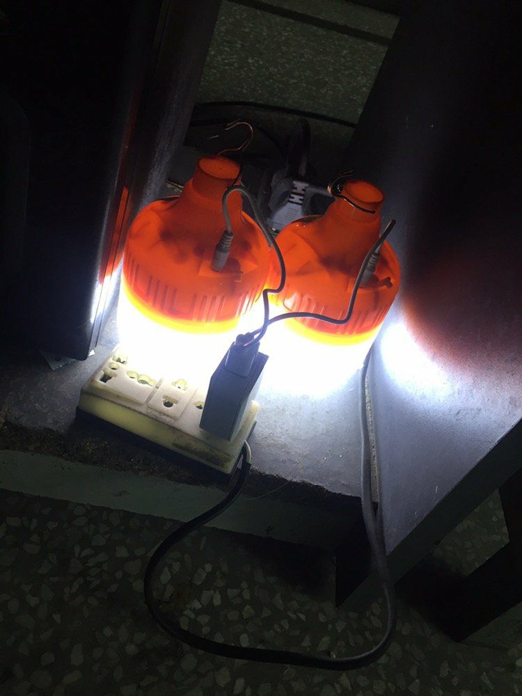 Shop chuẩn bị và giao hàng nhanh, đóng gói cẩn thận, bóng đèn giá rẻ hơn mua ngoài cửa hàng, rất ok 👌