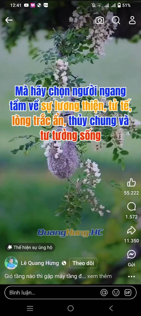 Móc chắc đó