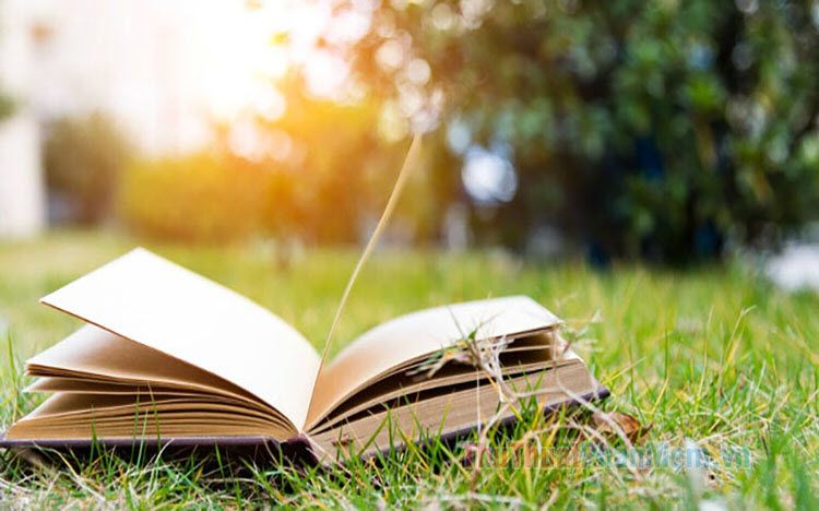 vì sản phẩm hay và tôi đang cần