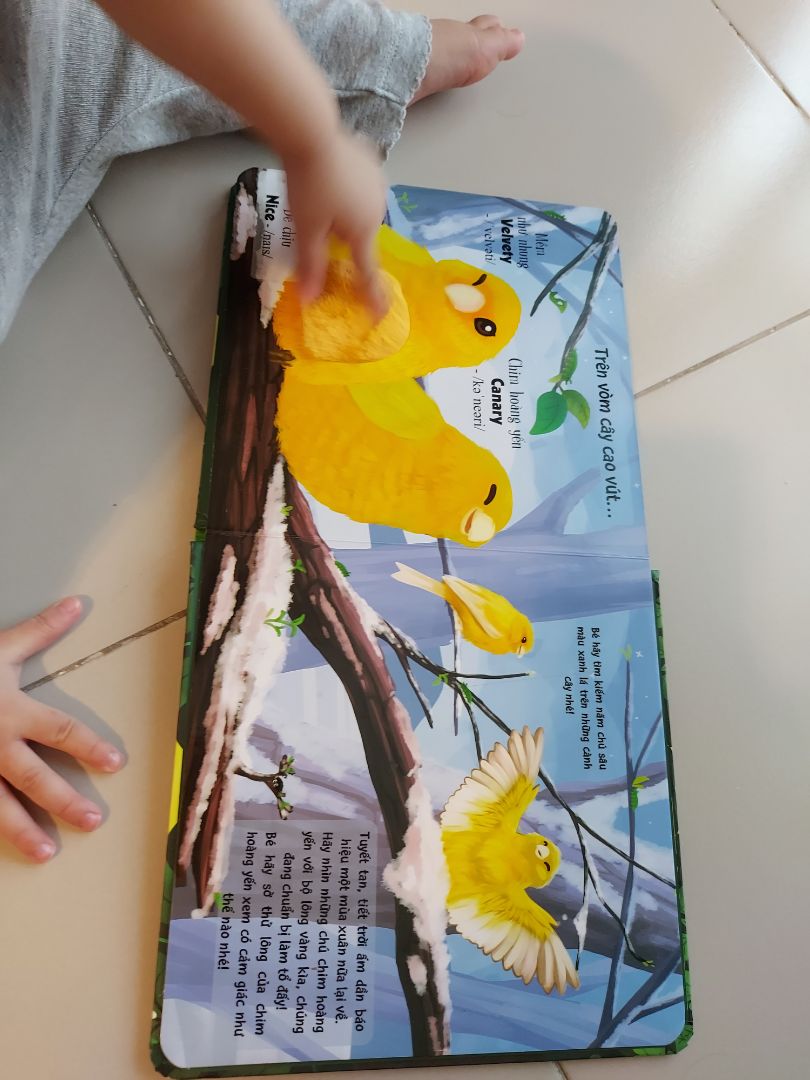 sách khá là ít trang, nhưng xịn xò