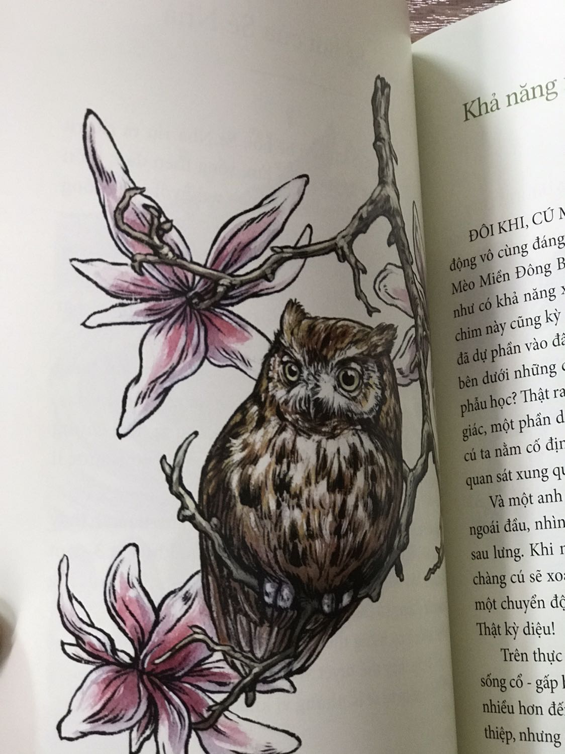 Mua được cuốn này trong đợt sale 50% còn kèm mã của tiki nên rất rẻ. Sách đẹp, nội dung đơn giản dễ hiểu nhưng đầy đủ thông tin. Giấy in màu cực kỳ dày dạn, hình minh họa đẹp miễn chê. Cực kỳ hài lòng luôn.