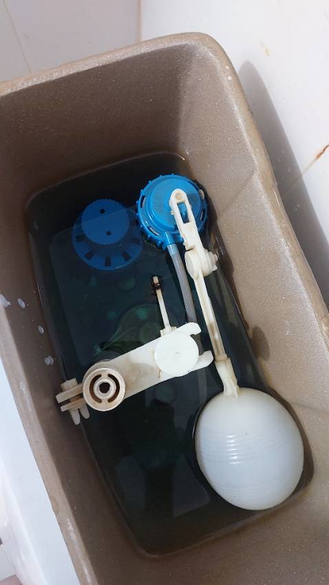 Mới xài nên chưa biết kết quả như thế nào, để xem xài được bao lâu