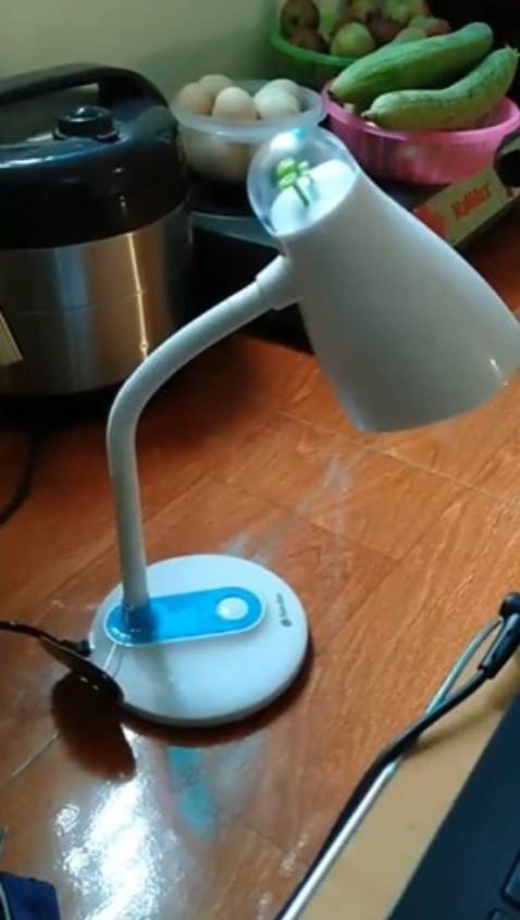 Hàng ship khá nhanh, đóng gói cẩn thận, đèn sạch đẹp, mới mẻ, dùng ok. Shop rep tin nhắn khá nhanh.