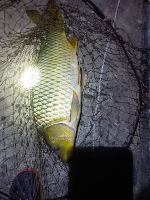 hình ảnh chỉ mang tính chất minh hoạ dlllnddkdoobkvkfkfkdkdkd cần đẹp như hình