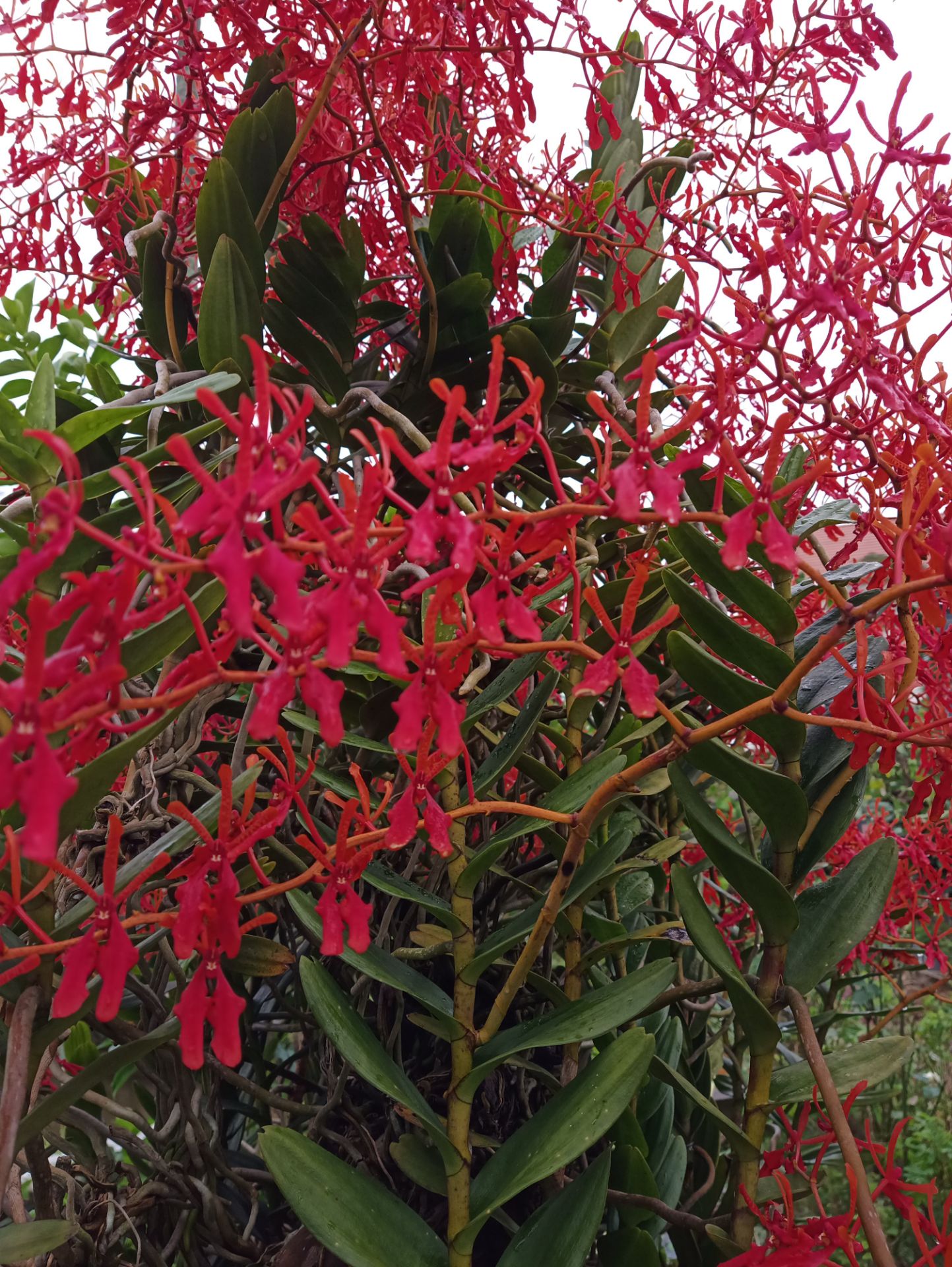 hàng tốt, chất lượng cao, đóng gói cẩn thận, giao hàng nhanh