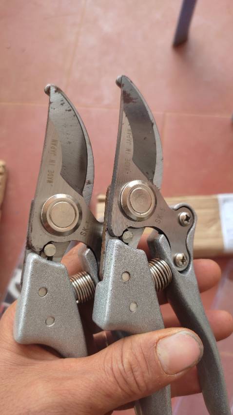 Đặt kéo sada 210, giao kéo sk5 bị rỉ sét