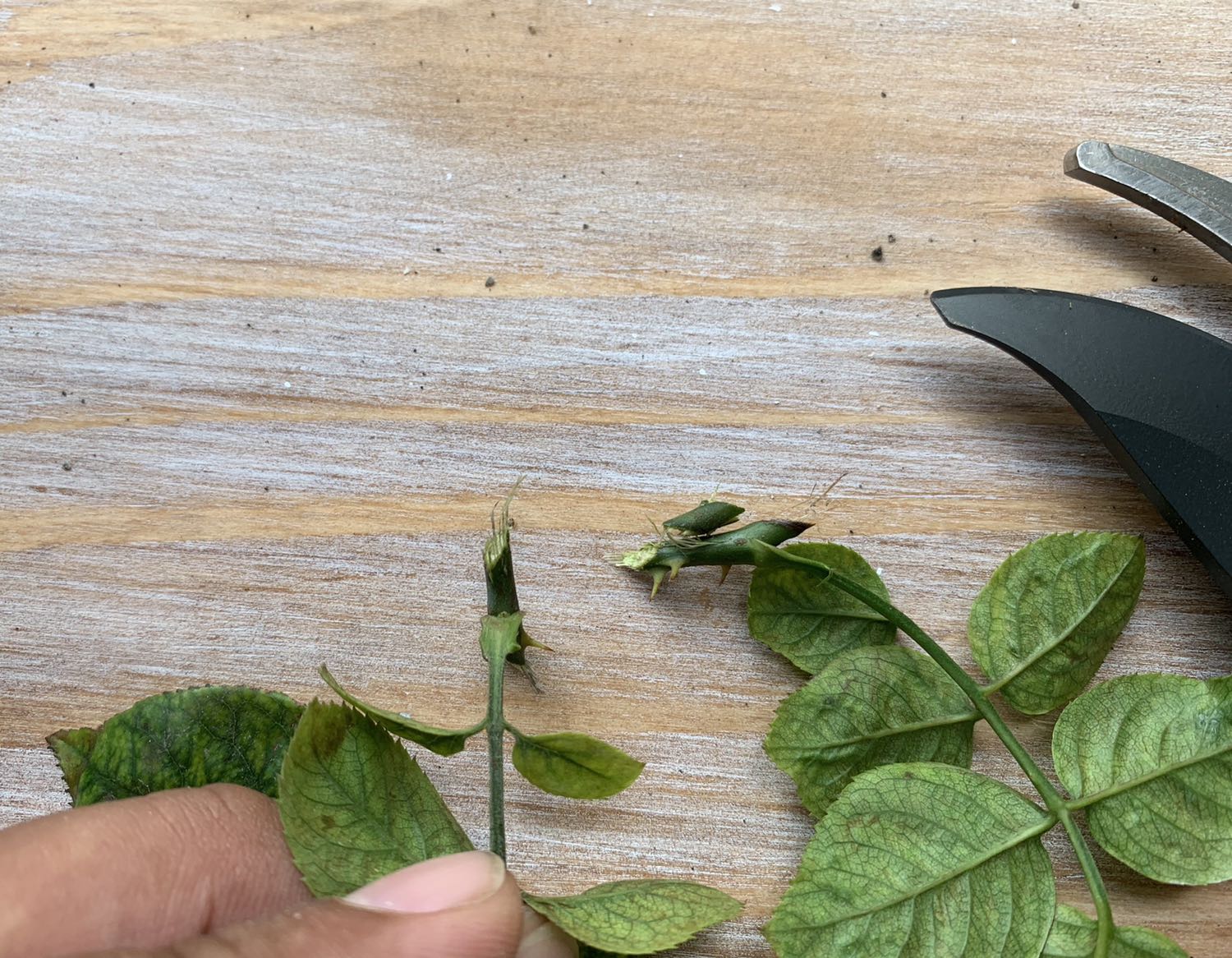 xin chào, tôi nhận được hàng Tiki đóng gói cẩn thận, cũng không xa lạ gì vì tôi mua rất nhiều đồ trên Tiki, khui ra cắt thử thì lục thế này. Mong nhận phản hồi bên Tiki