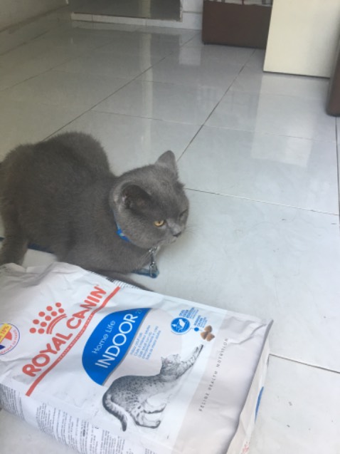 Hai bé nhà mình cực kì thích loại hạt này vì mùi vị rất hấp dẫn & thành phần dinh dưỡng tốt. Shop giao hàng nhanh, hàng nguyên vẹn, hsd đến 2024 nên an tâm. Mình mua đợt giảm giá sản phẩm và phí ship nên tiết kiệm đc cả trăm ngàn đồng. Cảm ơn và sẽ tiếp tục ủng hộ shop.