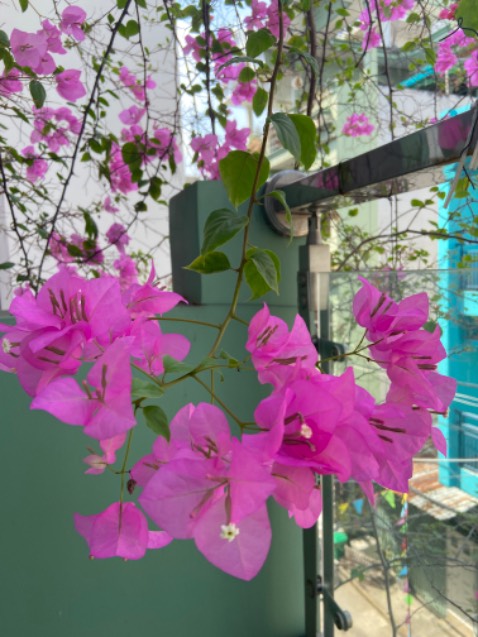 Hàng chuẩn, thơm.
Tiki đóng gói cẩn thận, giao hàng nhanh. Ok