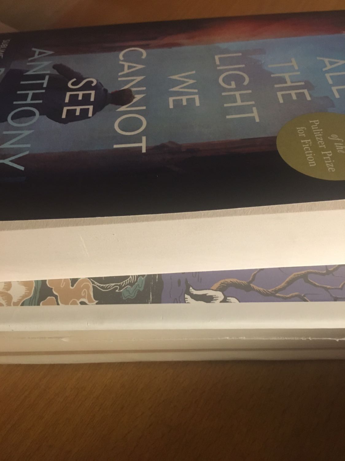 Quá ư là ưng, sách không rách hay nhăn nhúm. Lúc đầu mình tưởng là bản khổ to nhưng sách chỉ là bạn khổ vừa. Mọi thứ đều đẹp. Giao hàng siêu nhanh, đặt lúc đêm mà trưa hôm sau ngủ dậy để gọi nhận hàng luôn.