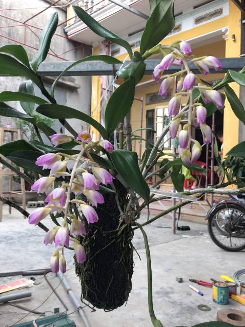 Đẹp lắm shop chu đáo nữa chứ tặng đầy đủ phụ kiện nữa qua oki luônnnnnnnnnnnnnnnnnnnnnnnnnnnnnnnnnnnnnnnn