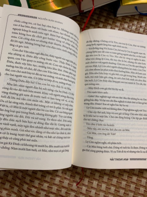 Nội dung khá hay về phong tục thờ mẫu ngoài bắc kì trước 1945 và tình cảm gia đình , làng xóm đến đôi lứa. Văn phong của bác Nguyễn Xuân Khánh thì rất gần gũi với làng xóm ngoài bắc. Giấy in cũng như bìa sách rất đẹp