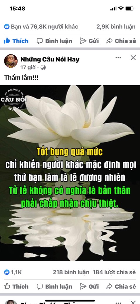 Gối chất lượng nhưng với mình thì hơi thấp nhân viên thân thiện vui tính