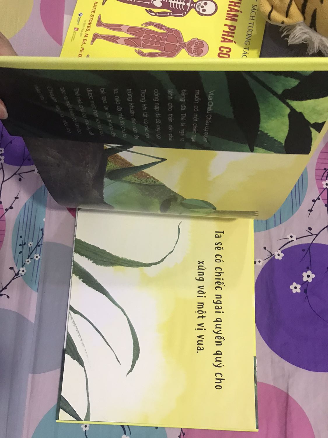 Sách này thì chỉ phù hợp cho những bé dưới 5 tuổi thôi vì sách chủ yếu là hình to, có ít trang à. Mình mua cho bé lớp 4 thì không phù hợp lắm, hơi tiếc :(. Giao đủ & siêu nhanh. Mới đặt hôm nay là ngày mai giao tới liền.