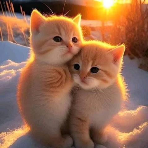 Ok.......................