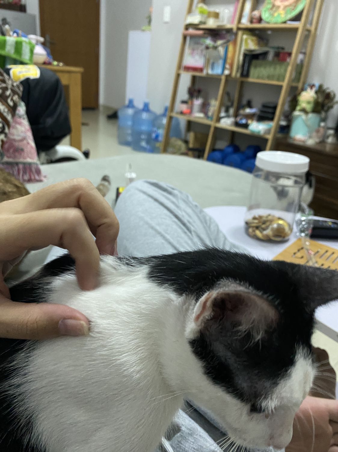 Sản phẩm rất tốt, mình rất thích ạ.
😊😊😊😊😊😊😊😊😊😊😊😊😊 Sản phẩm rất tốt, mình rất thích ạ.
😊😊😊😊😊😊😊😊😊😊😊😊😊