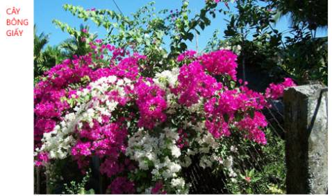 đựng đũa muỗng ok. Cảm ơn Tiki